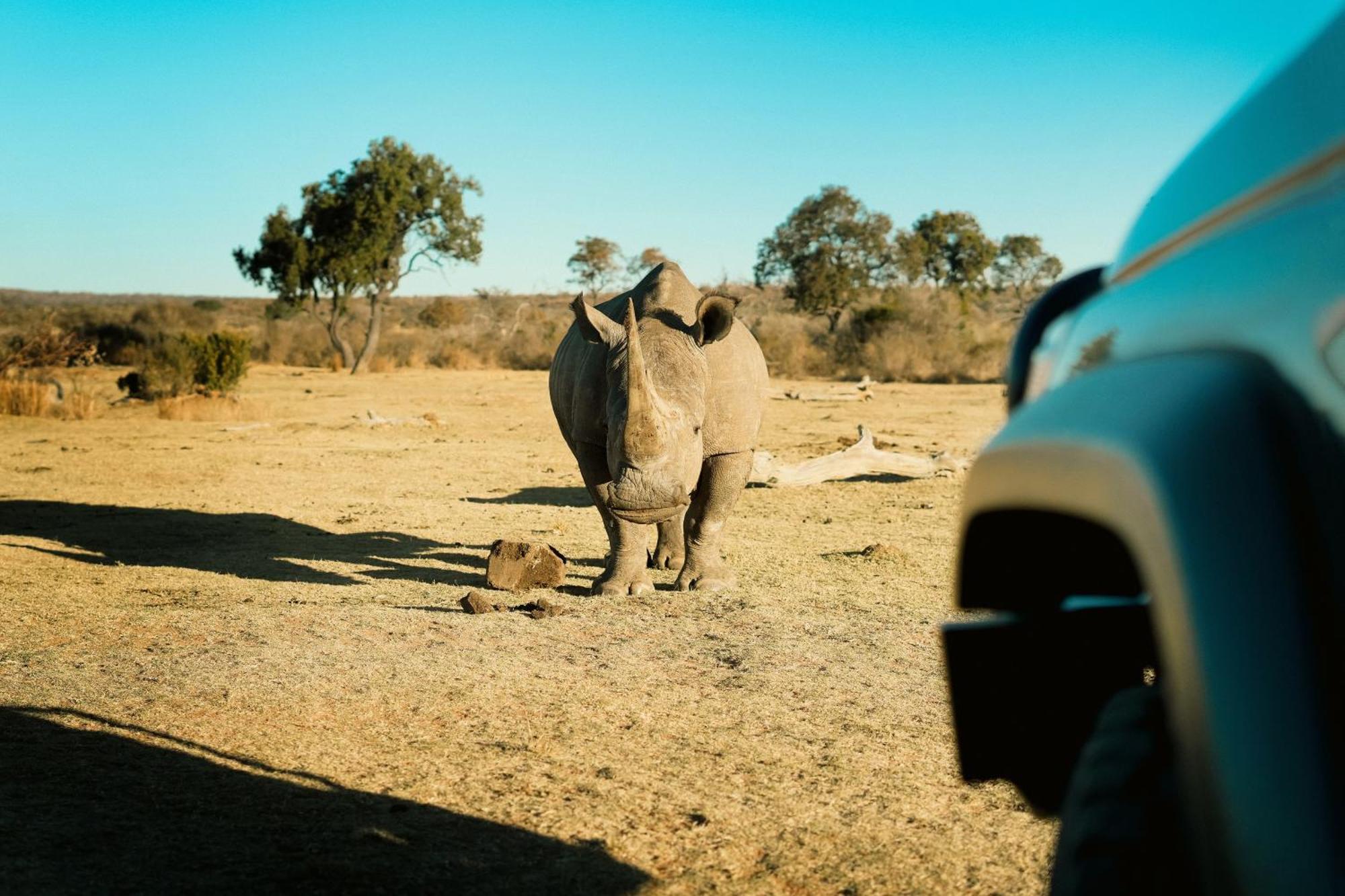 Shibula Solar Safari Big 5 Lodge Welgevonden Doğa Koruma Alanı Dış mekan fotoğraf